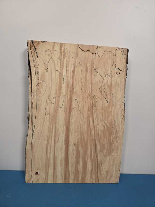 Spalted Beech offcut