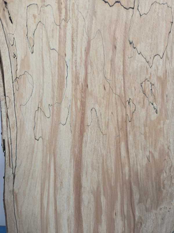 Spalted Beech offcut