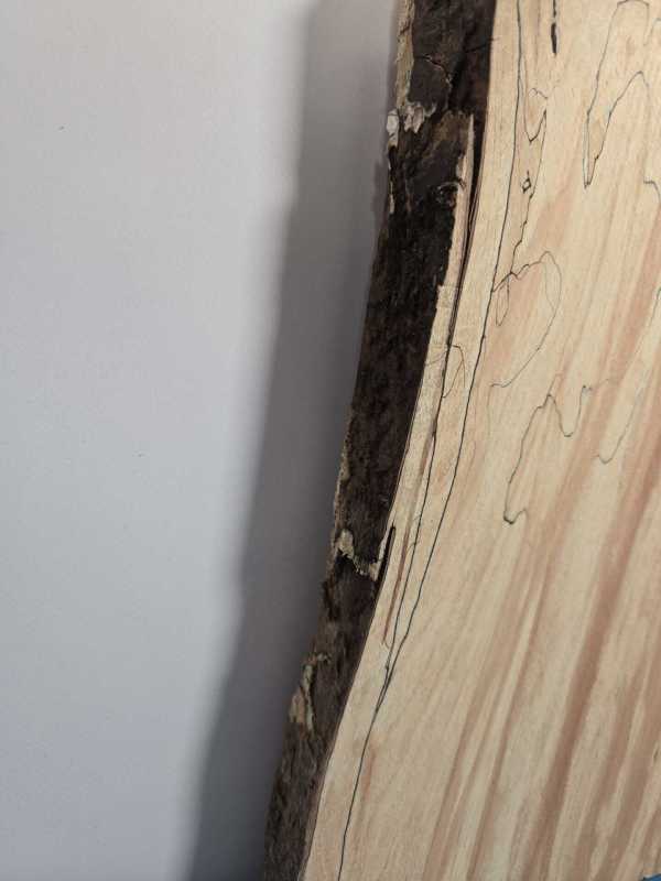 Spalted Beech offcut