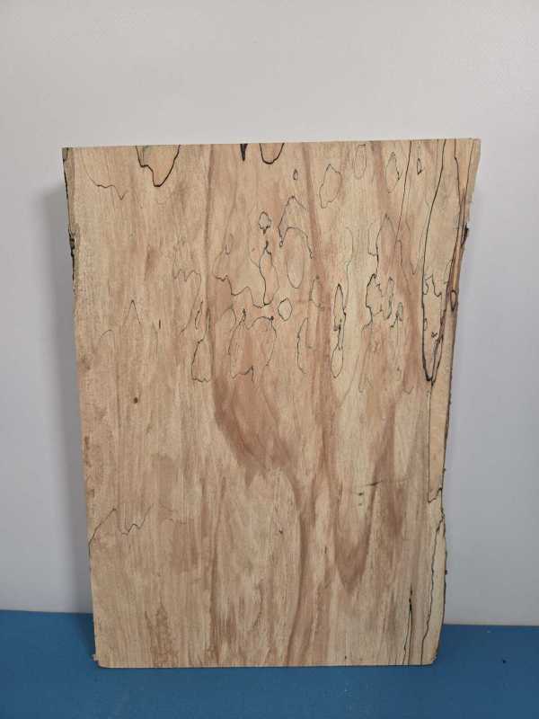 Spalted Beech offcut
