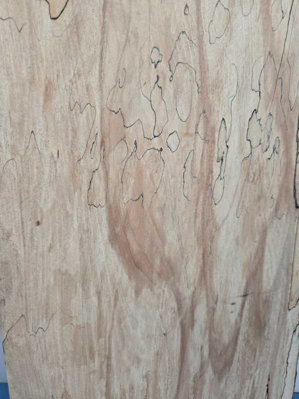 Spalted Beech offcut