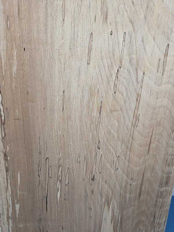 Large Beech Blank