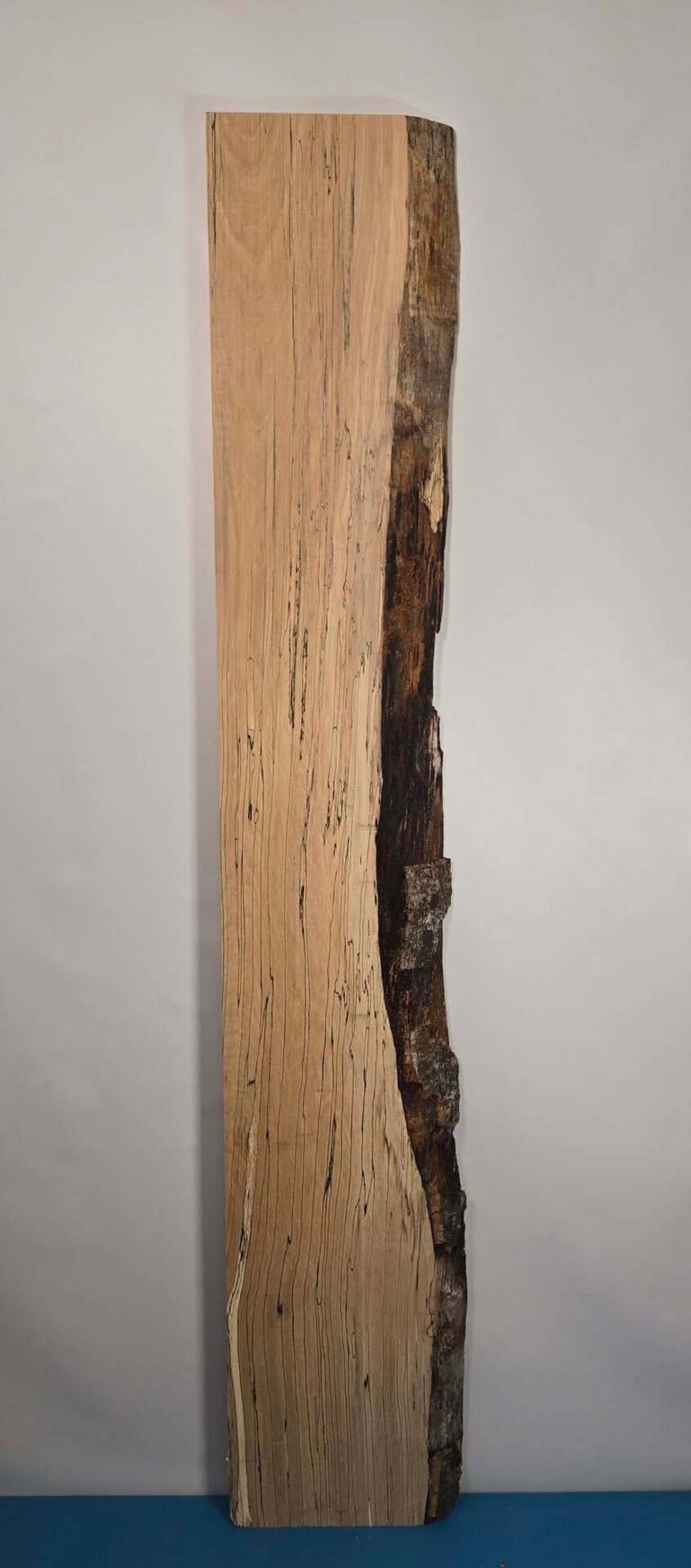 Live edge Spalted Beech