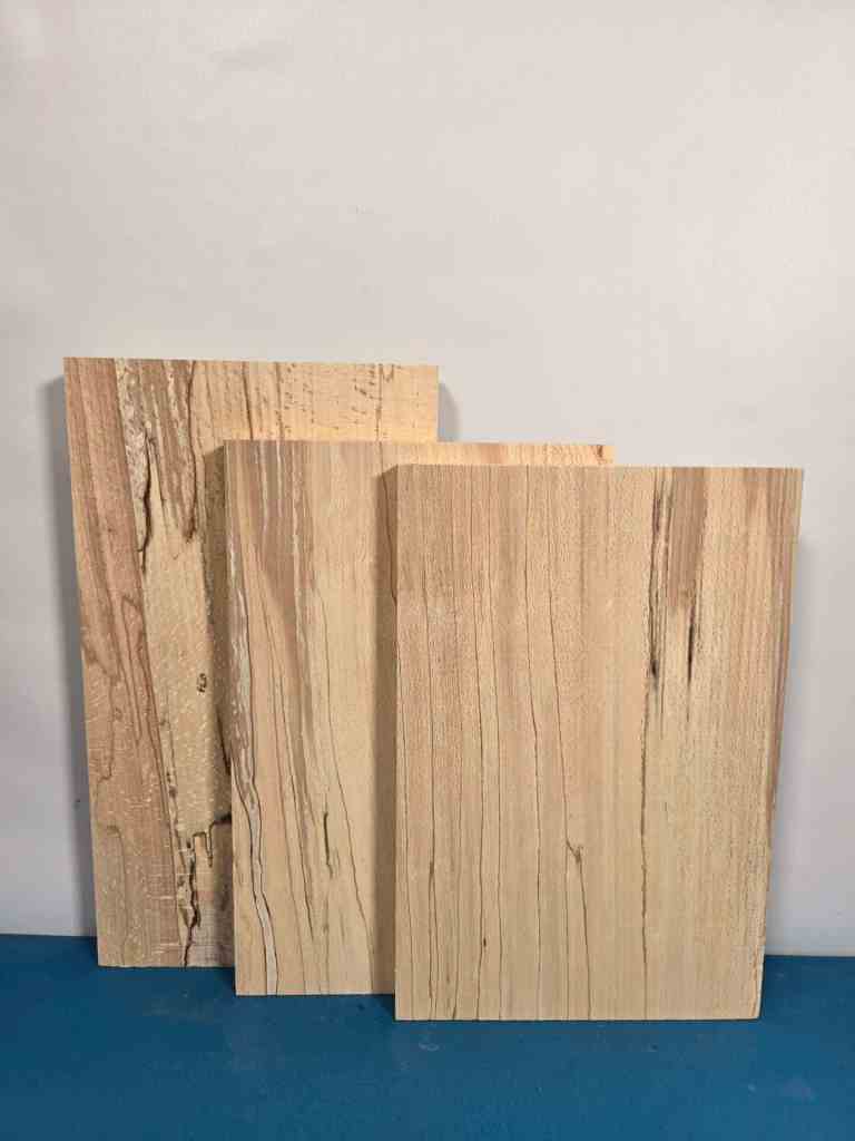 Light Spalted Beech Offcuts x3