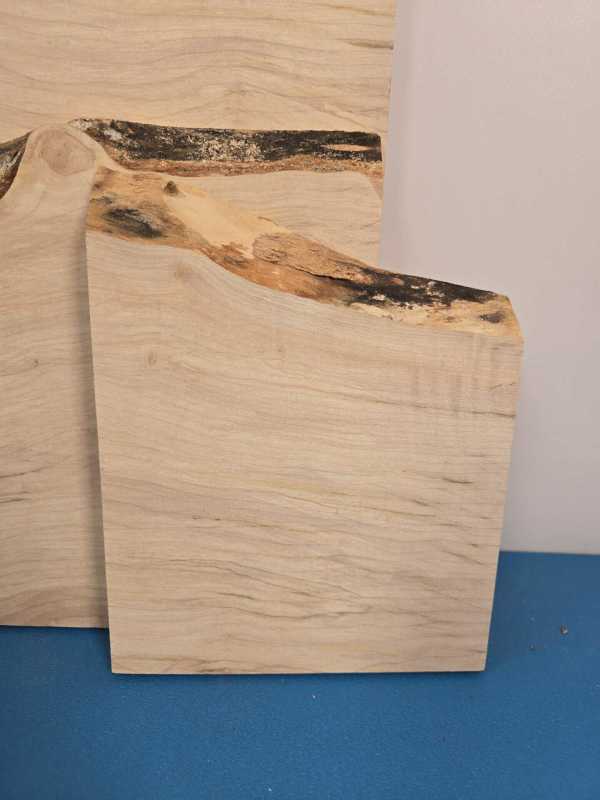 3 Sycamore offcuts