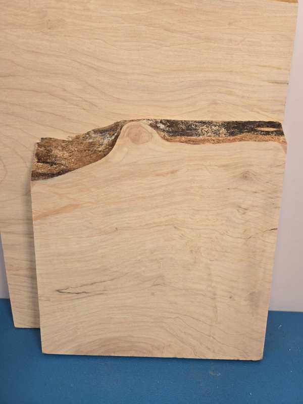3 Sycamore offcuts