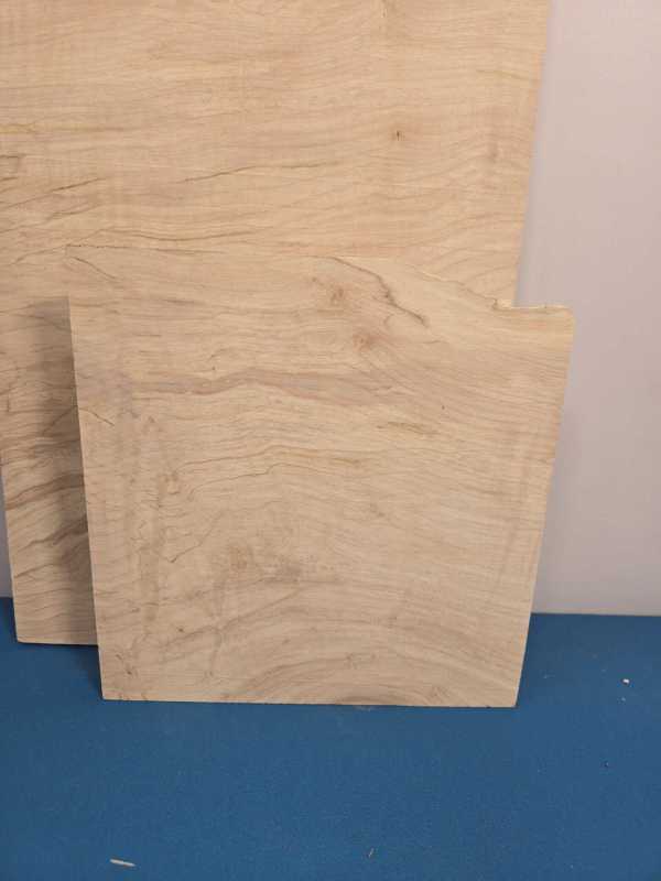 3 Sycamore offcuts