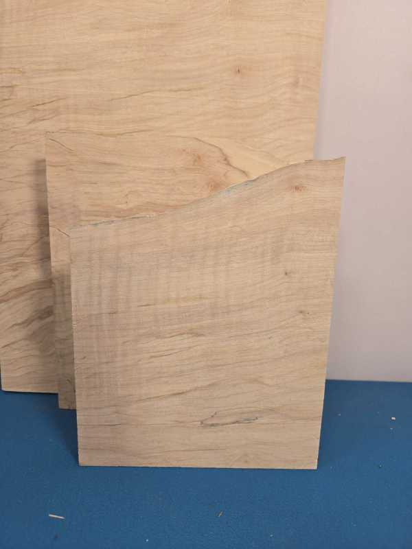 3 Sycamore offcuts
