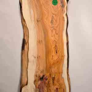 Natural edge Yew