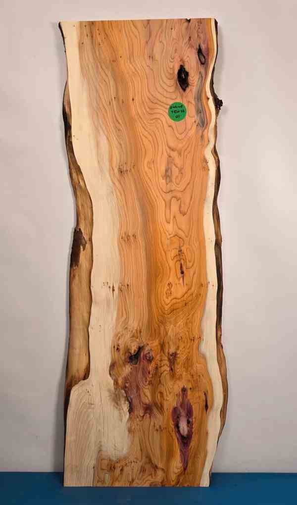Natural edge Yew