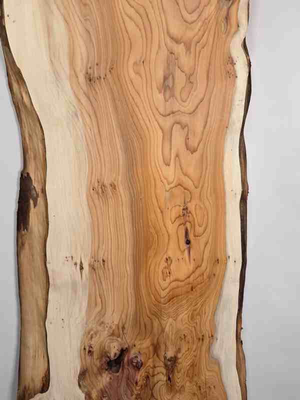 Natural edge Yew