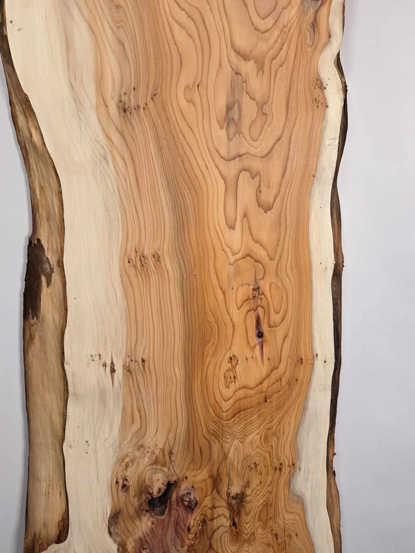 Natural edge Yew - Image 3