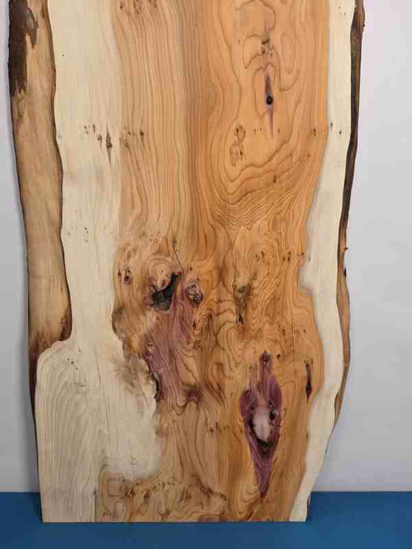 Natural edge Yew