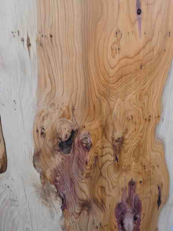 Natural edge Yew