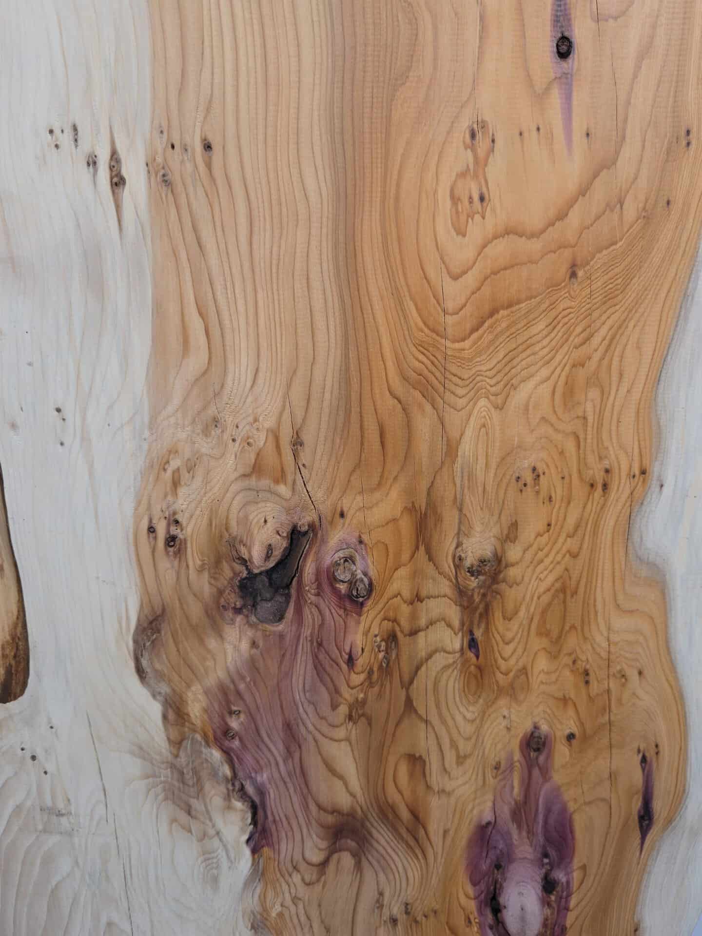 Natural edge Yew - Image 5