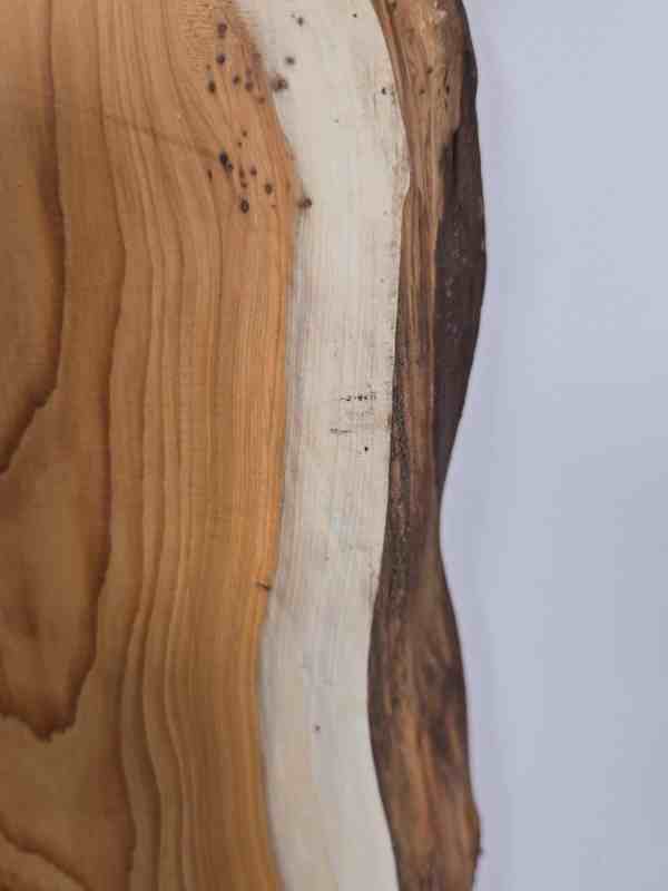 Natural edge Yew
