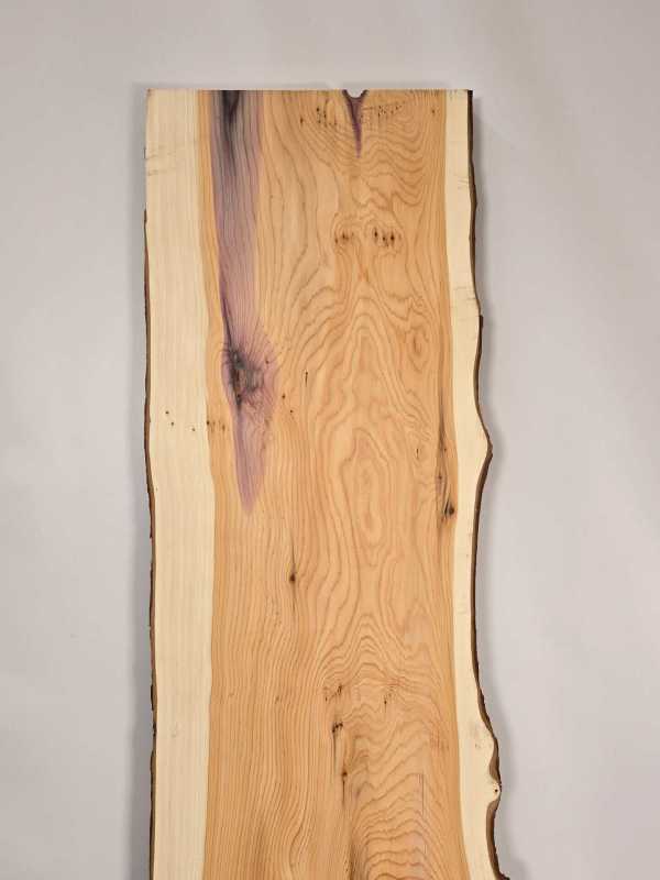 Naturally shaped Yew
