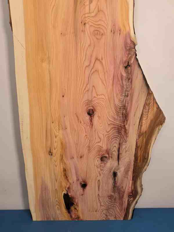 Naturally shaped Yew