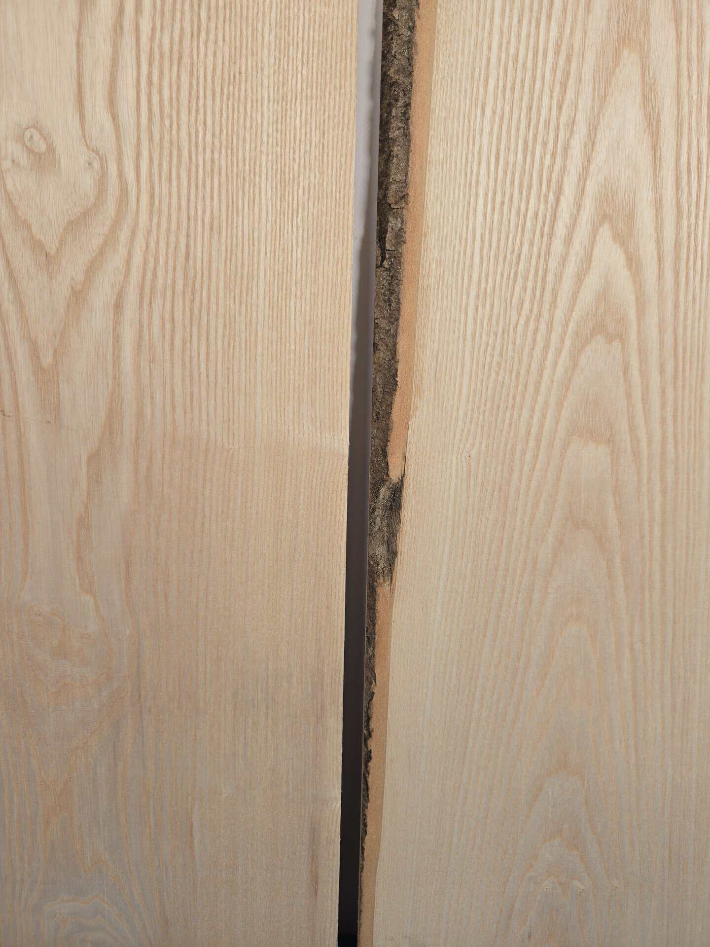 2 Ash offcuts - Image 4
