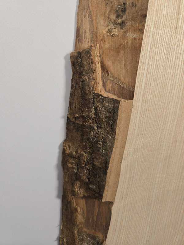 Chunky Ash Offcut
