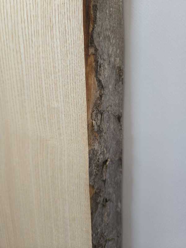 Natural edge Ash