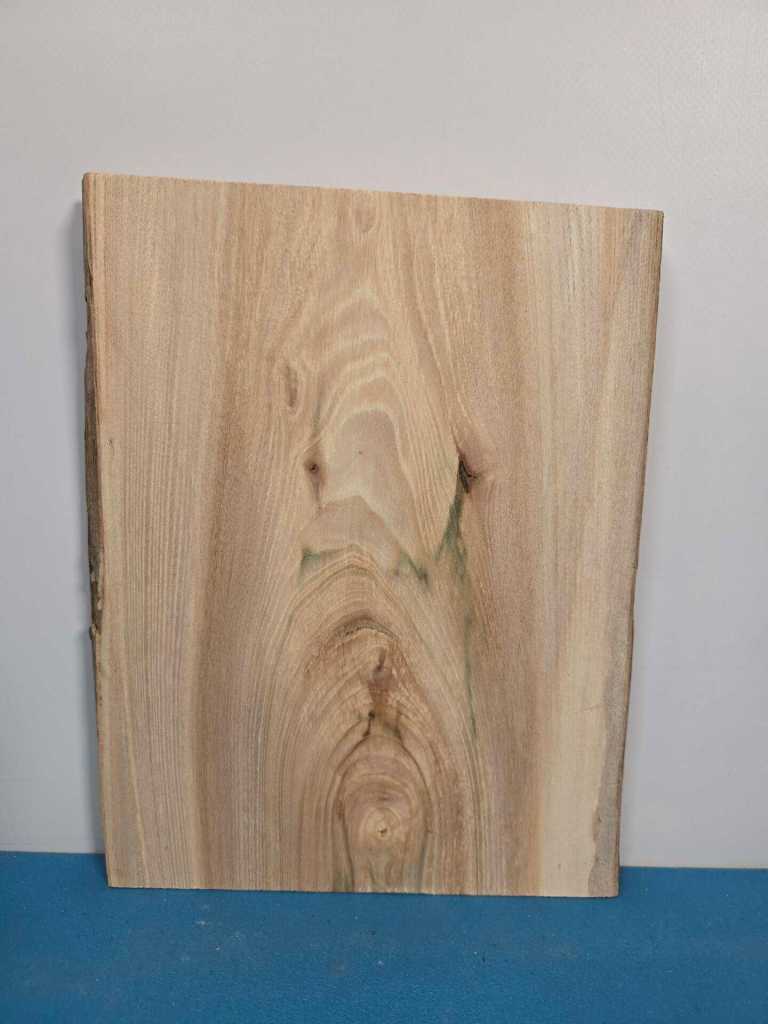 Small Elm Offcut