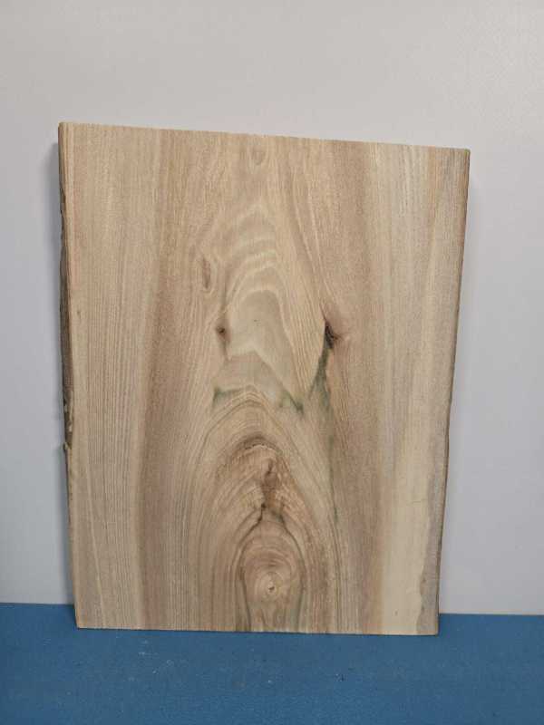 Small Elm Offcut