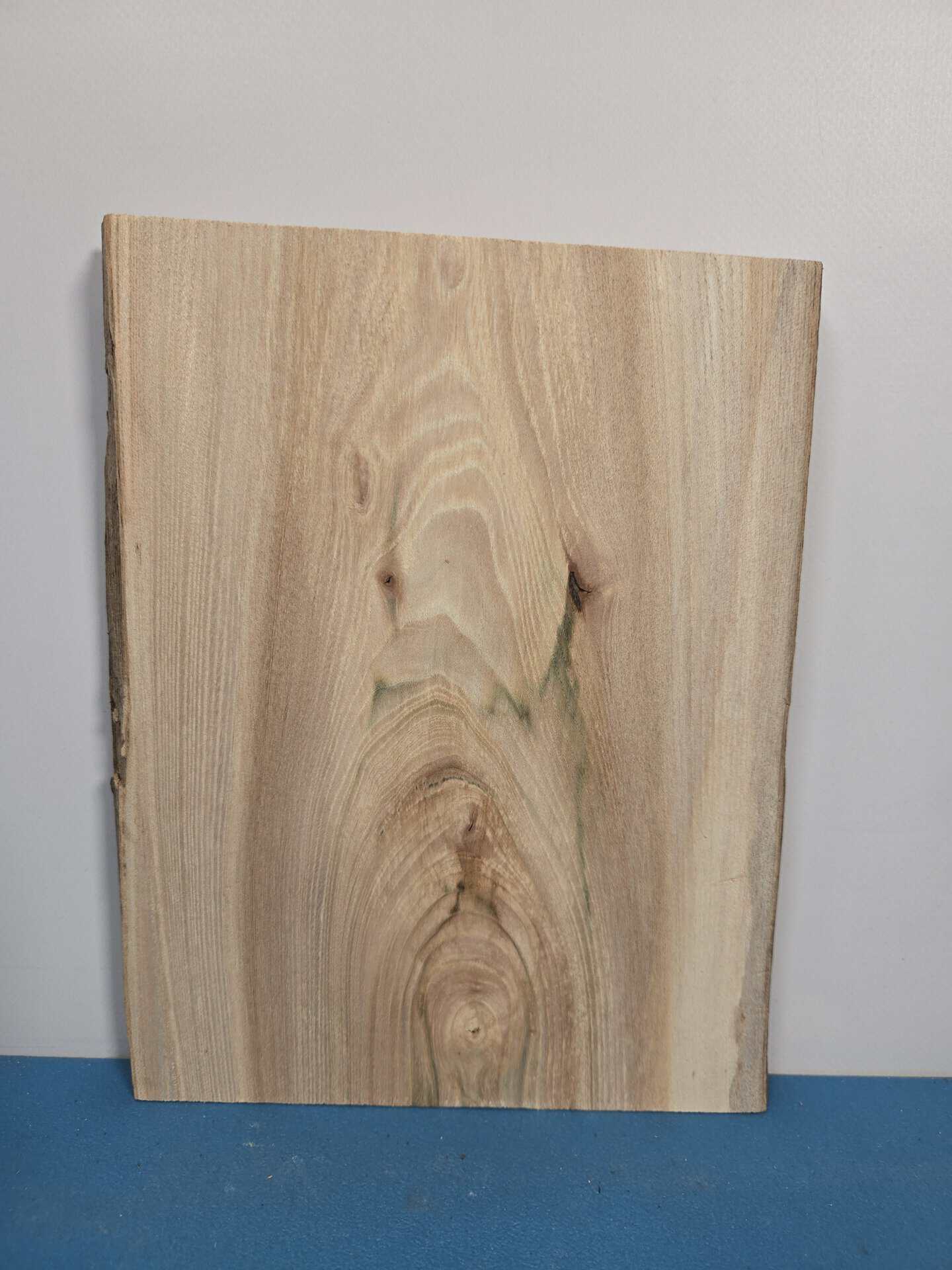 Small Elm Offcut