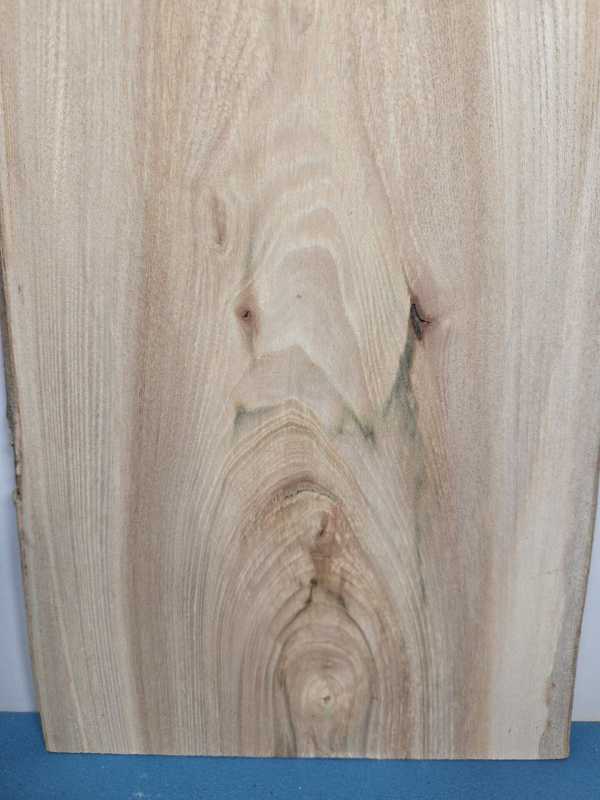 Small Elm Offcut