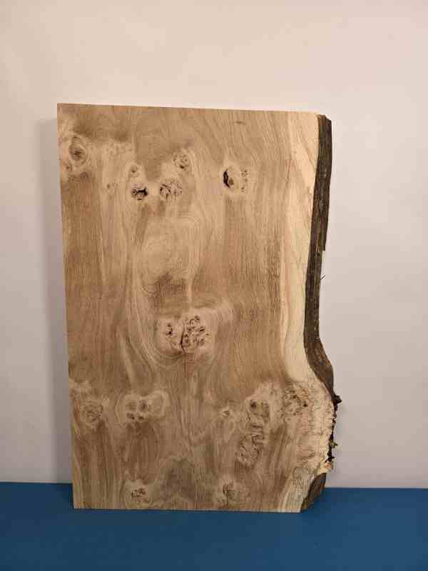 Chunky Scottish Oak Offcut