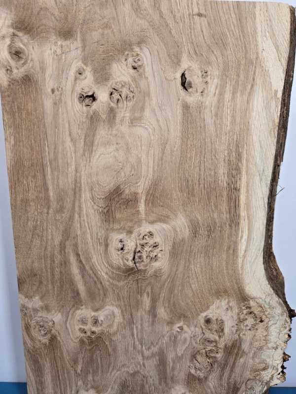 Chunky Scottish Oak Offcut
