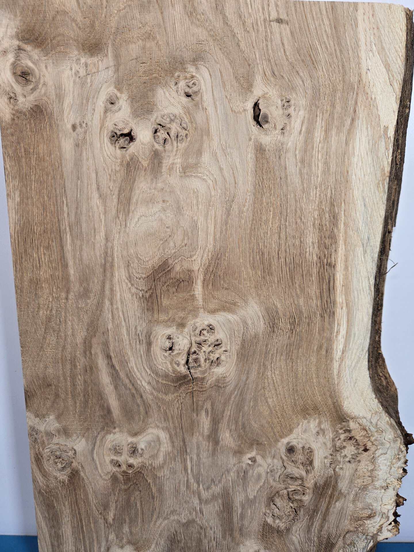 Chunky Scottish Oak Offcut - Image 2