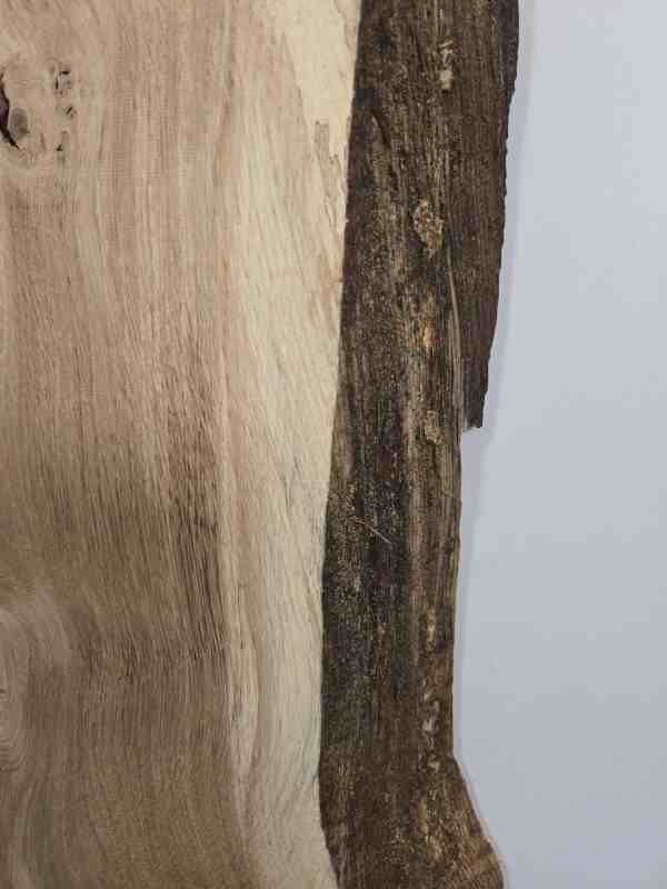 Chunky Scottish Oak Offcut