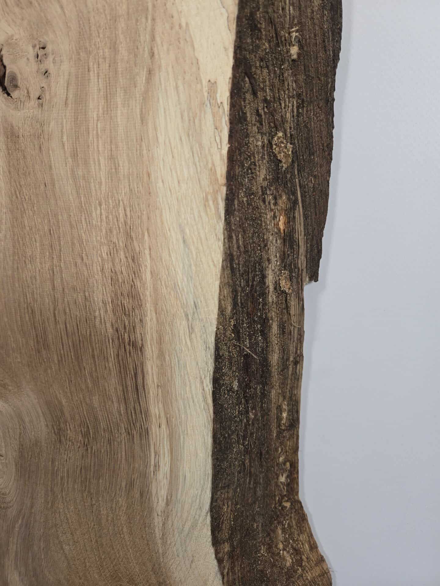Chunky Scottish Oak Offcut - Image 4