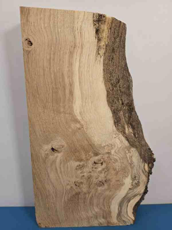 Natural edge Oak Blank