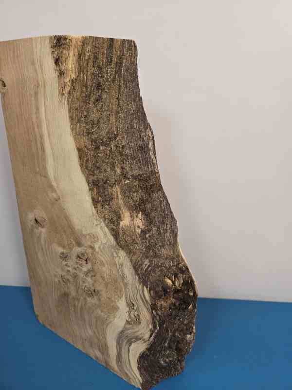 Natural edge Oak Blank