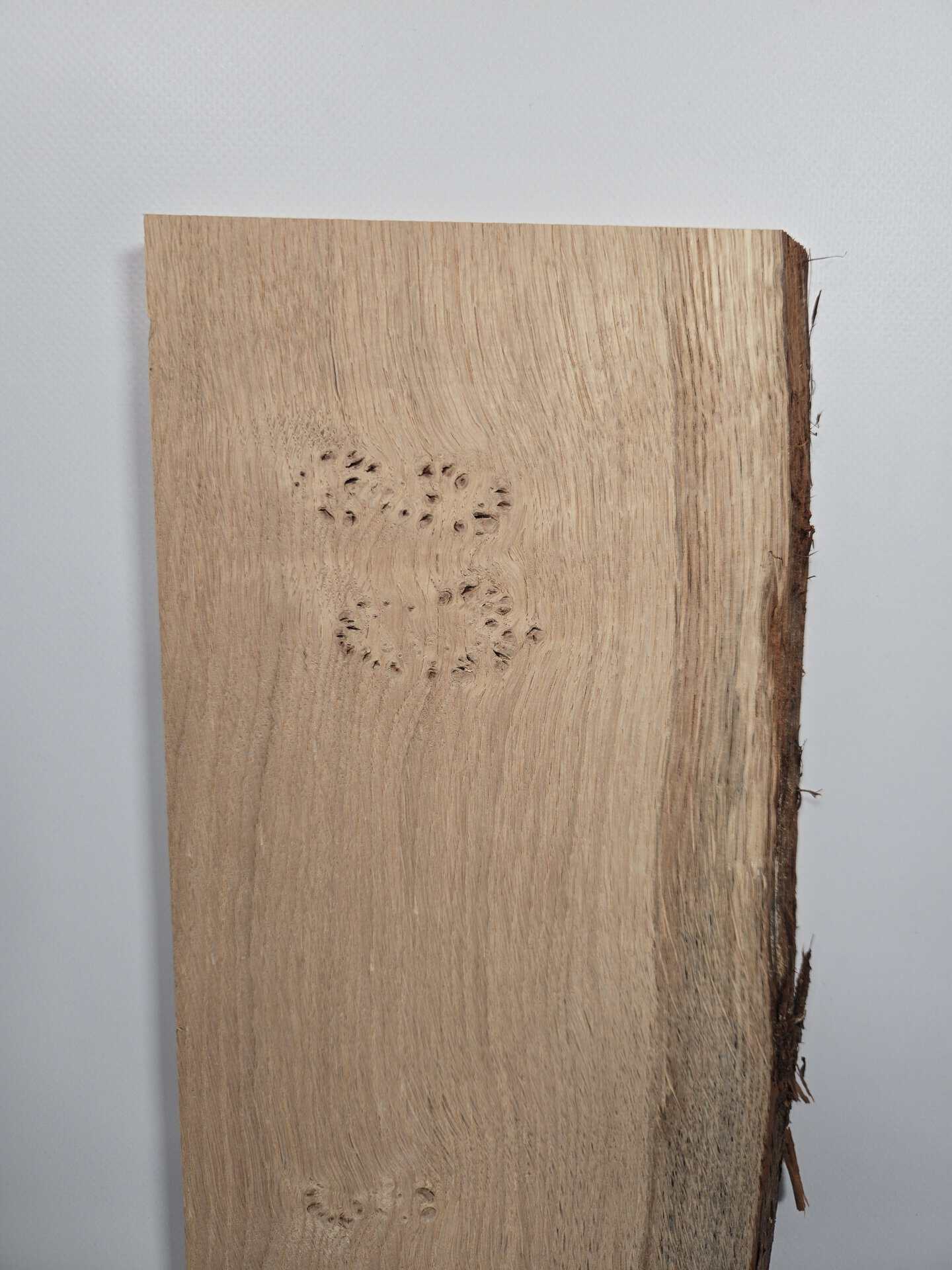 Live Scottish Oak offcut - Image 2