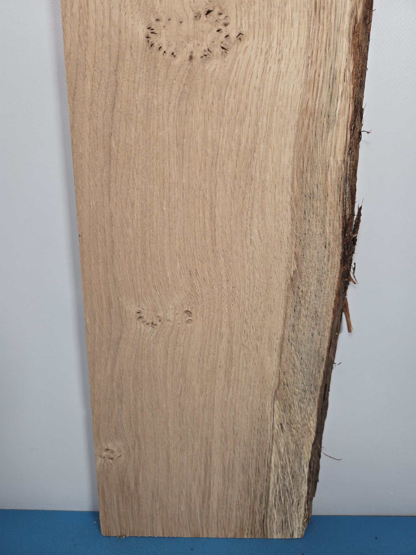 Live Scottish Oak offcut - Image 3