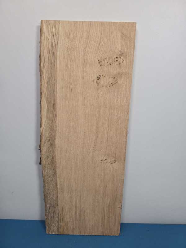 Live Scottish Oak offcut