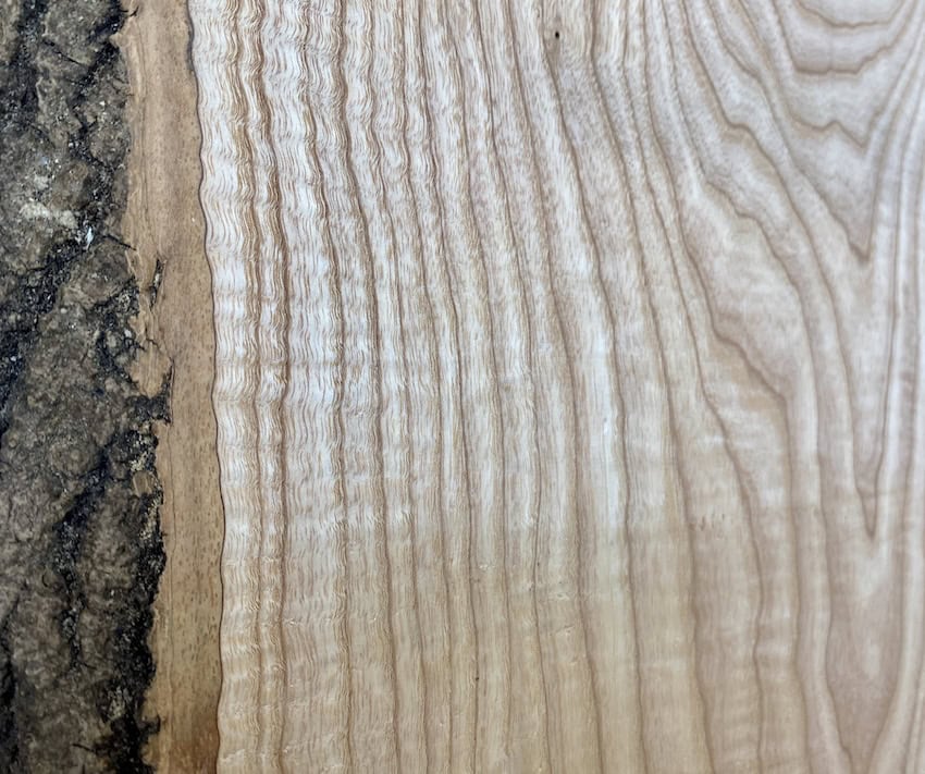 Close up photo of ash timber - showing the grain and colour