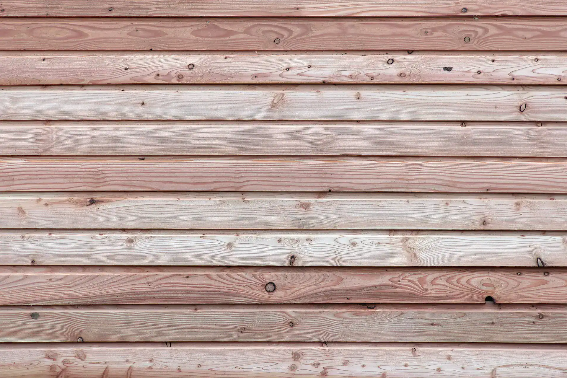 Scottish Larch Shiplap cladding on wall