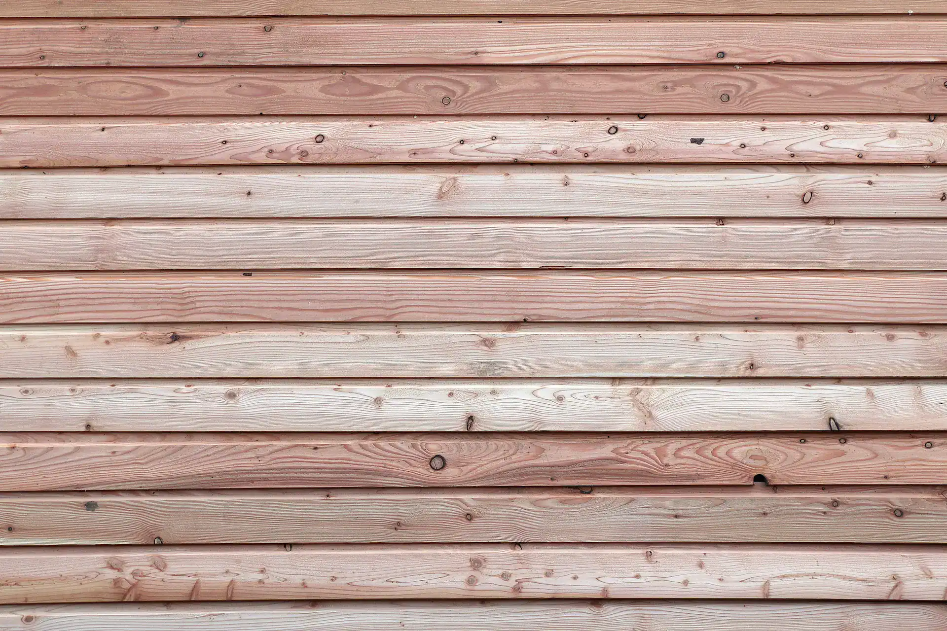 Scottish Larch Shiplap cladding on wall