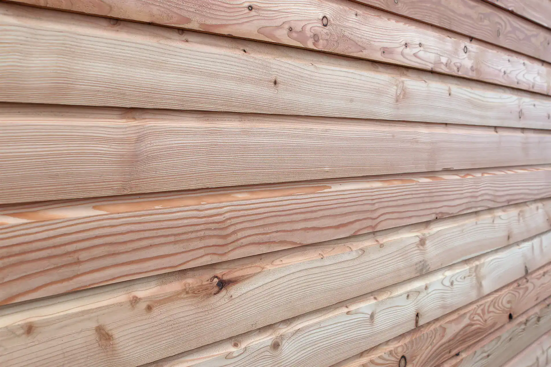 Scottish Larch Shiplap cladding on wall