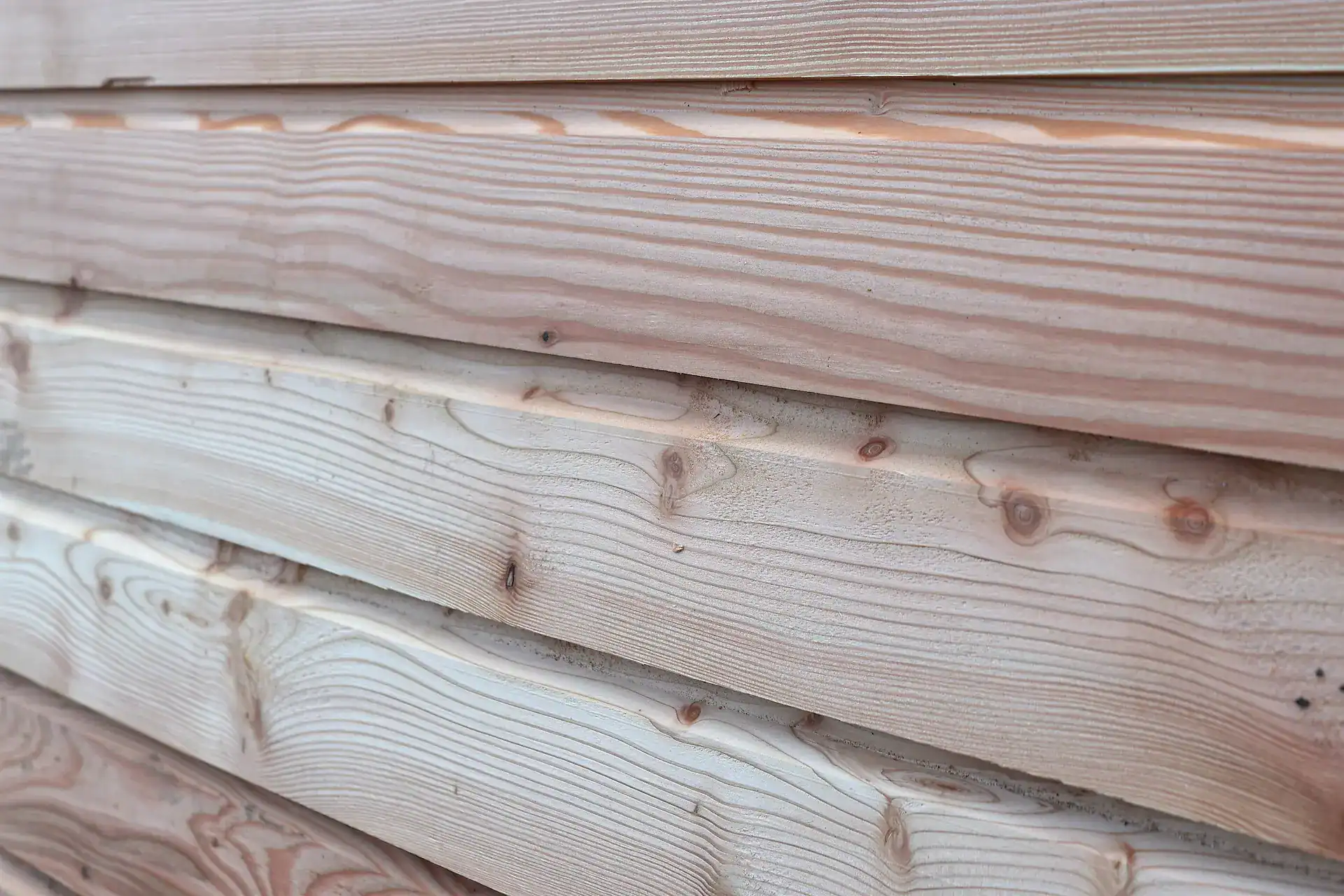 Detail shot of Scottish Larch Shiplap cladding on wall