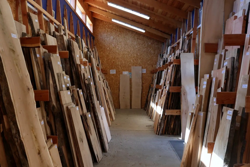View inside the Scottish Wood timber shop at hardwoods slabs and boards of a mixture homegrown species