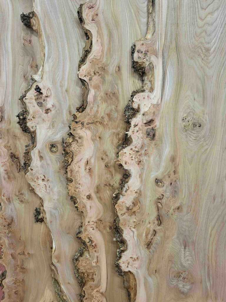 Photo of live edge elm hardwood boards