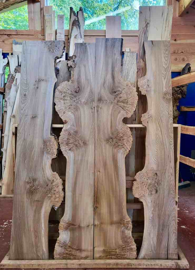 Stunning book matched burry elm boards - displayed in the Scottish Wood timber shop
