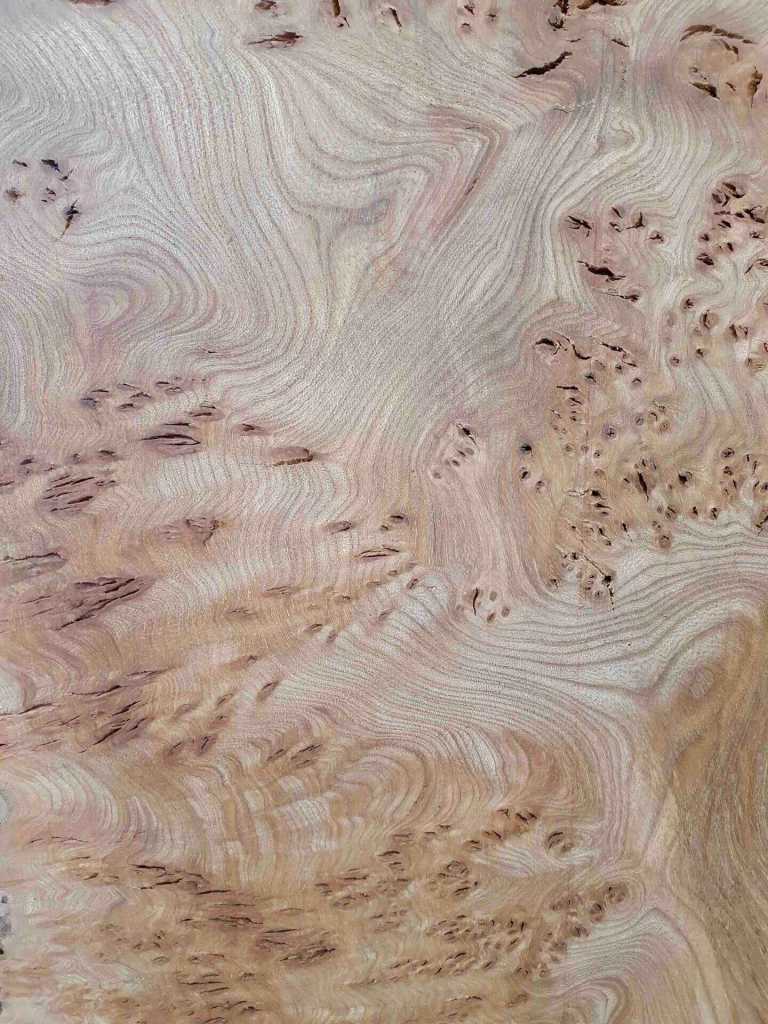 Close up shot of burry elm wood grain