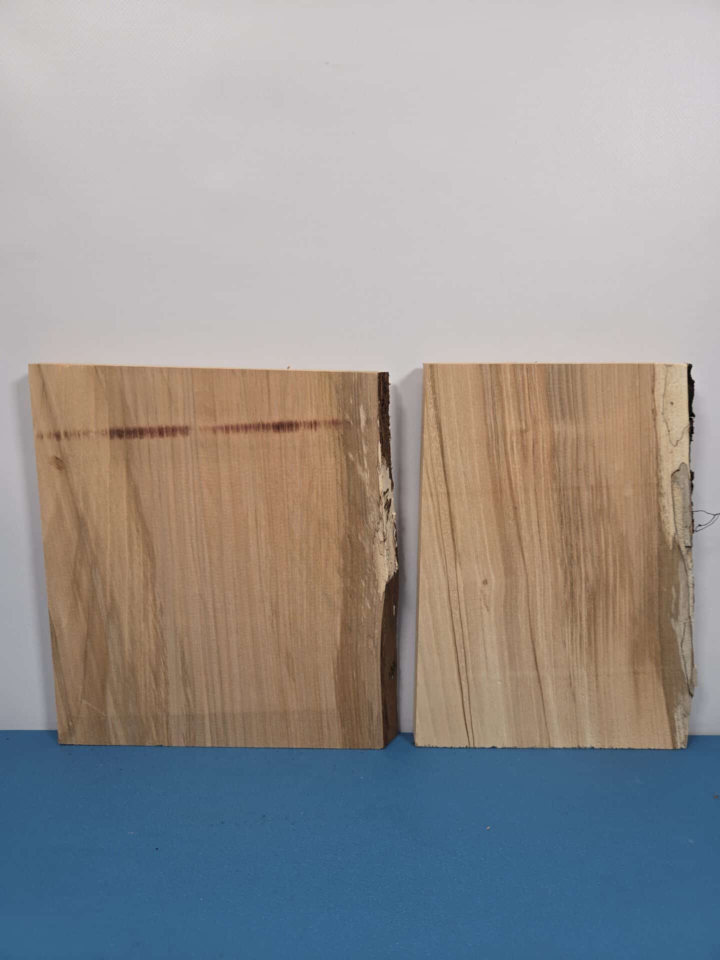 2 Small Sweet Chestnut offcuts
