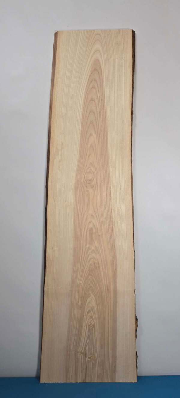 Contrasting Ash wood